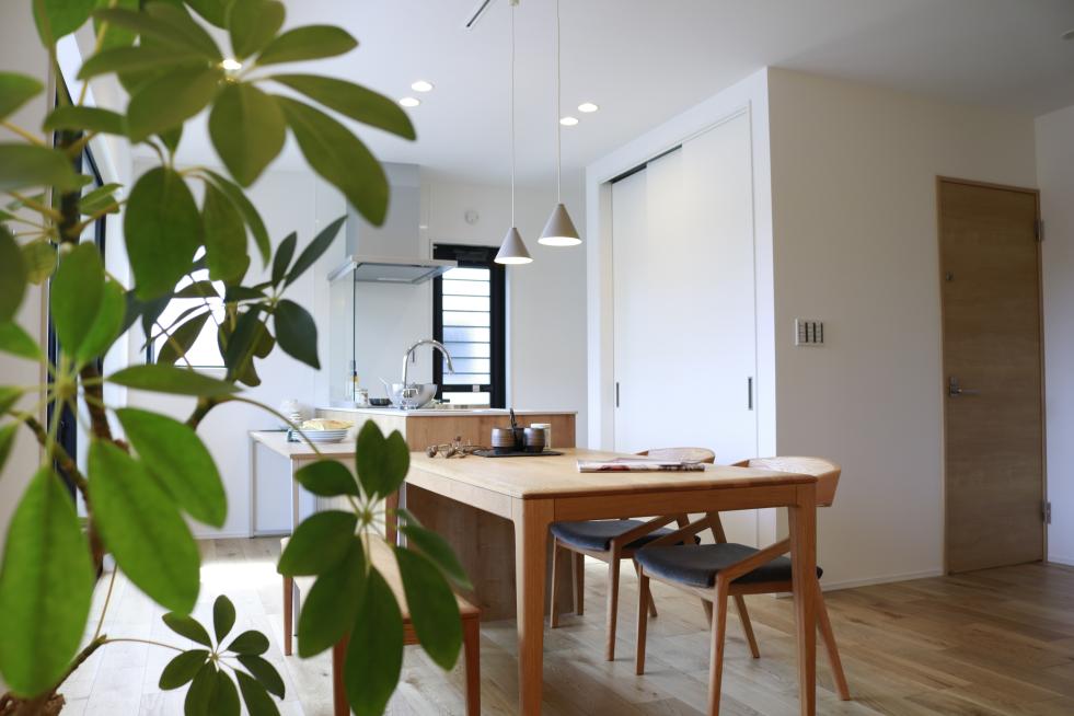 2025.05.30 家具有 金屋 奥島一眼 (57).JPG