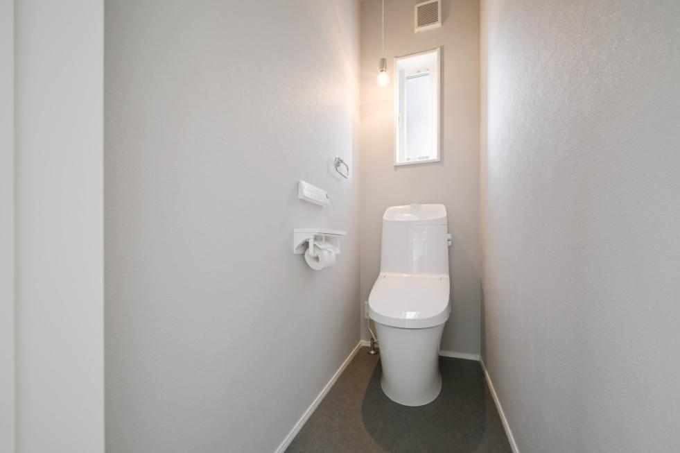 0319_81P_1411b のコピー.jpg